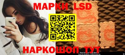 скорость Бердск