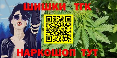 скорость Бердск