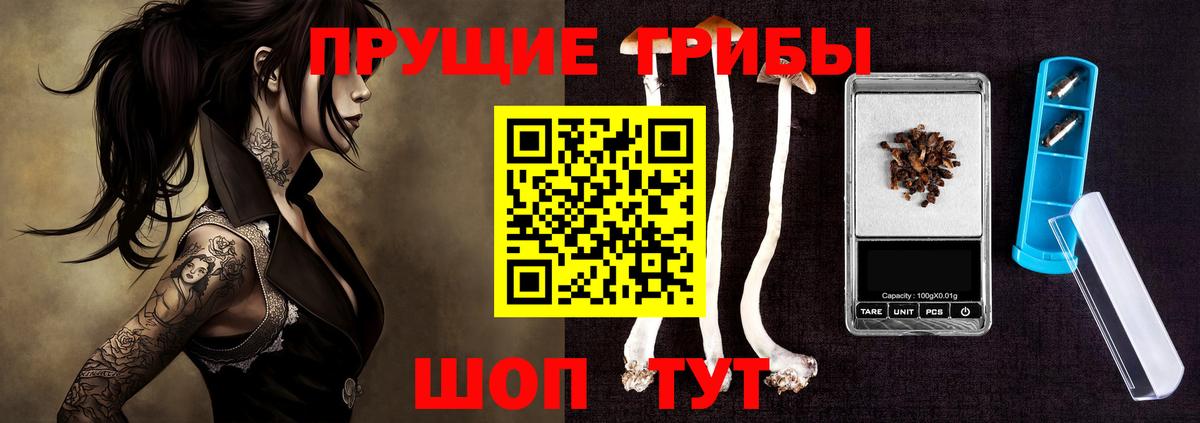 Бахчисарай  Псилоцибиновые грибы мицелий  Вход с VPN 